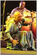 Dee Dee Bridgewater  JASSEPOES